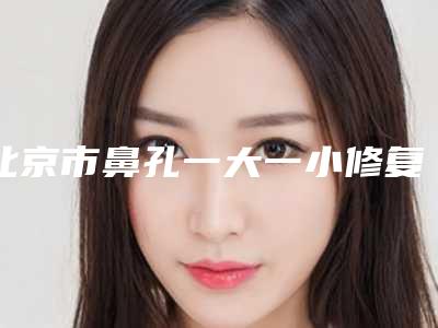 北京市鼻孔一大一小修复医生排名榜有资质TOP5医生强烈来袭-北京市鼻孔一大一小修复医生
