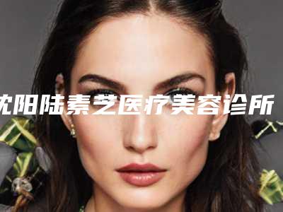 沈阳陆素芝医疗美容诊所
