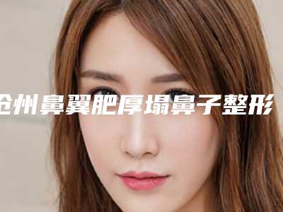 沧州鼻翼肥厚塌鼻子整形手术治疗费用是多少
