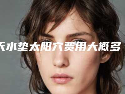 天水垫太阳穴费用大概多少钱,天水垫太阳穴的价格受那些因素的影响