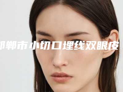 邯郸市小切口埋线双眼皮医院-邯郸市第三医院整形科与邯郸市丛台区中医院技术点评_资料一览