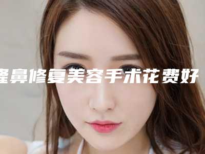隆鼻修复美容手术花费好多可能留院2天吗(隆鼻后期修复还要费用吗)