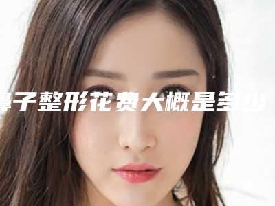 鼻子整形花费大概是多少整个鼻子多少钱啊